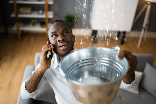 Best Water damage cleanup near me  in Bismarck, ND