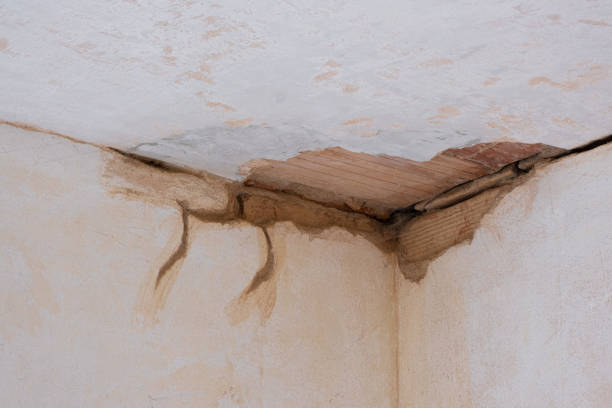 Best Fire Damage Restoration  in Bismarck, ND