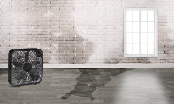 Best Water damage restoration near me  in Bismarck, ND