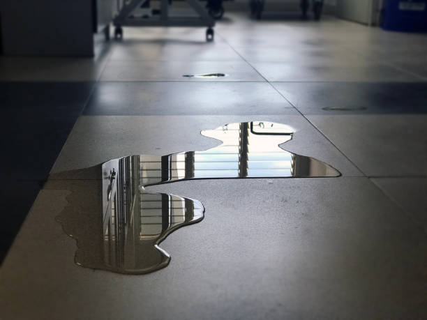 Best 24/7 water damage repair  in Bismarck, ND