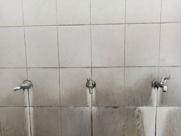 Best 24-hour water damage restoration  in Bismarck, ND