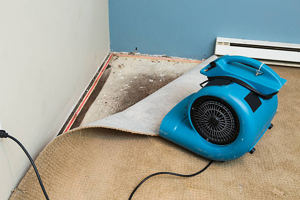 Best Water damage restoration near me  in Bismarck, ND